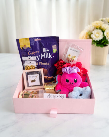 🎀 Mini Cute Surprise Hamper by VIKTAMNA 🎀